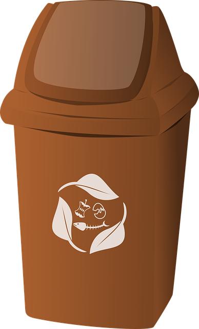 Co dávat do bio odpadu: Zásady pro kompostování