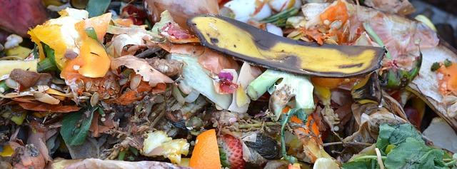 Kam Umístit Kompost: Optimální Místo Pro Váš Kompost