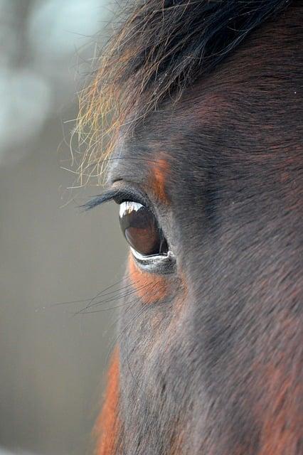 Atrazin: Jak se vyhnout kontroverznímu herbicidu v zemědělství