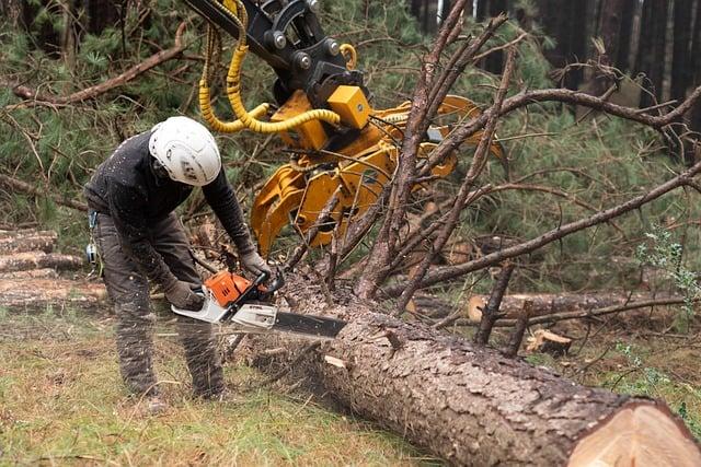 Obnova ZEVO Malešice: Závěrečná fáze projektu