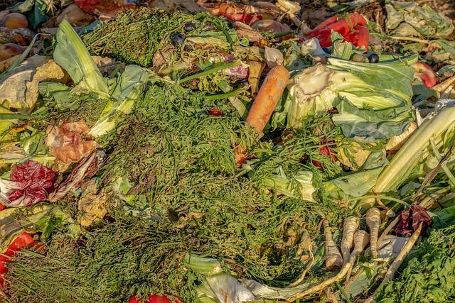 Co Mi Klíčí v Kompostu: Jak Řešit Nechtěné Rostliny