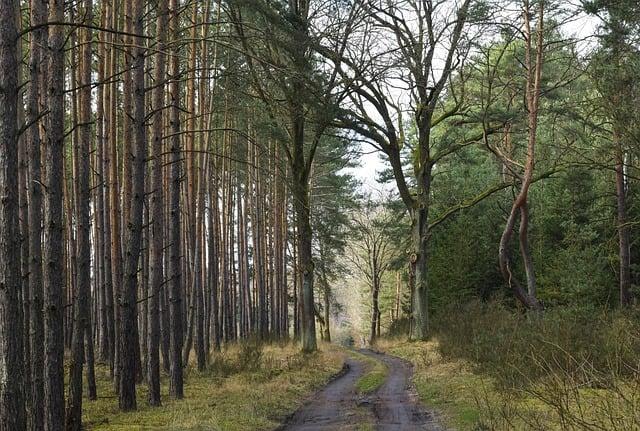 Způsoby sdílení a zabezpečení ‌fotografií s ostatními